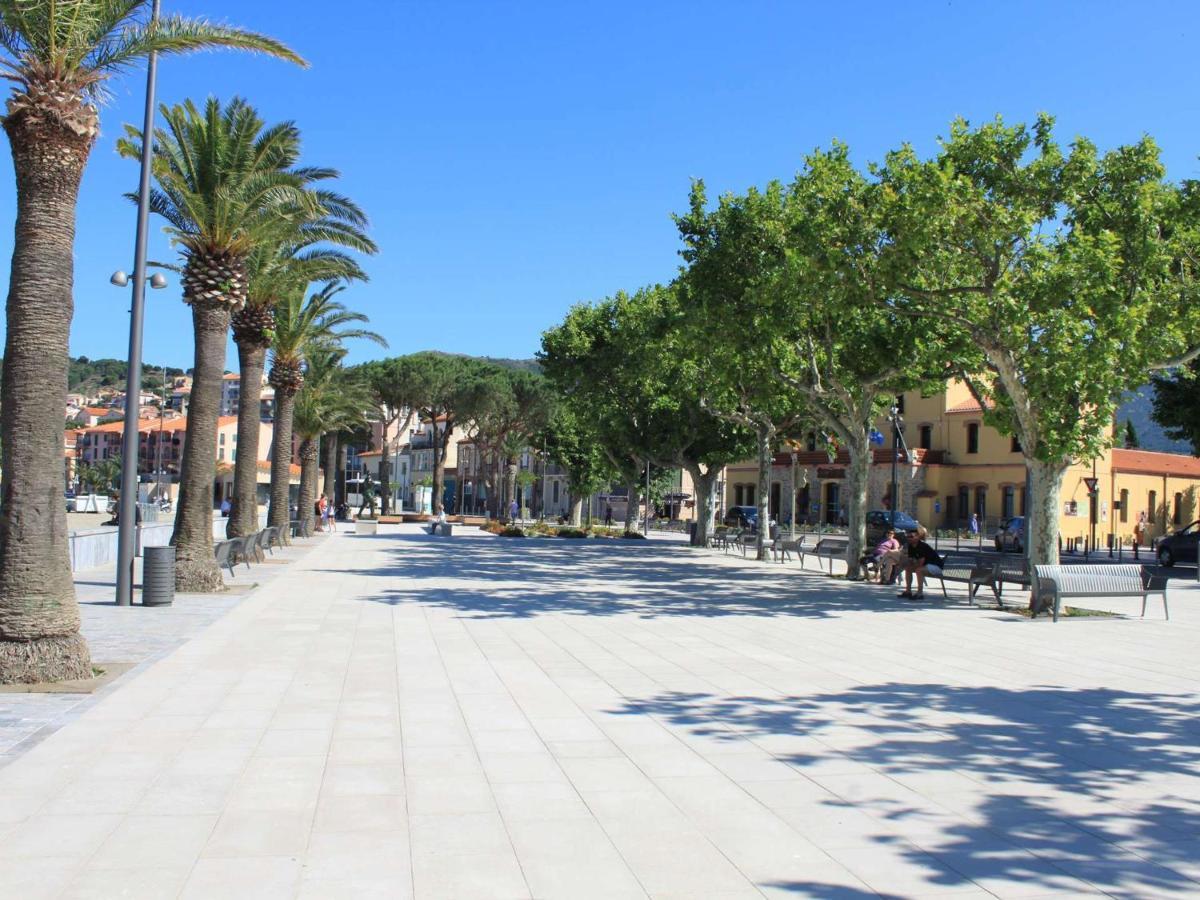 Appart T1 A 250M Plage, Clim, Wifi, Parking, Centre Banyuls - Fr-1-225C-75 Exteriér fotografie